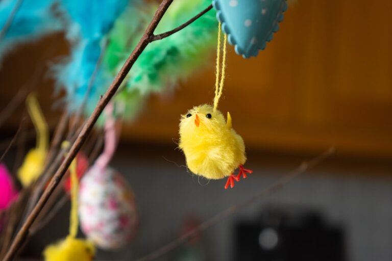 Photo easter decorations